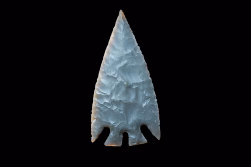 Item #73012537247702807532369324926658446839130533184421937656810479180129908031489 Media