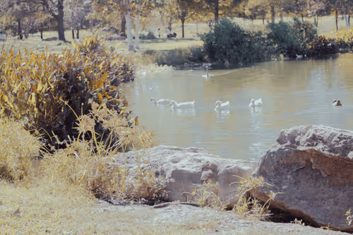 Alone Time at the Park