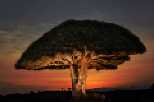 Item #105603725609947989499044129472074064723412167009068320432332286914132359249921 Media