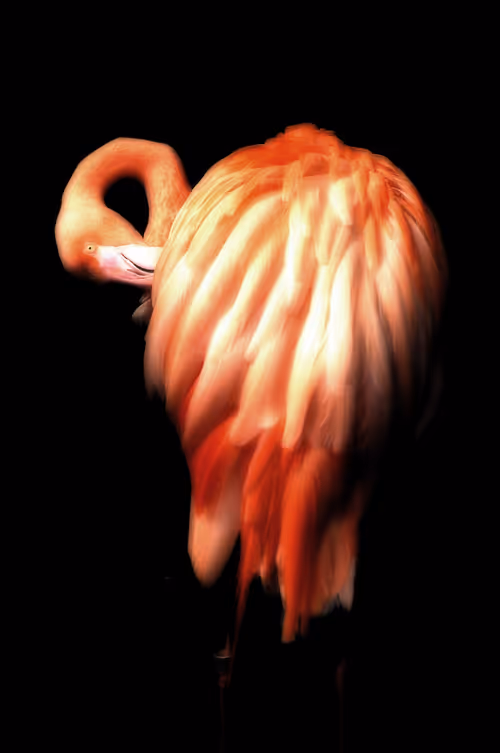 Item #57454491023137916107007493201948815472587961712729591816545853676288330432513 Media