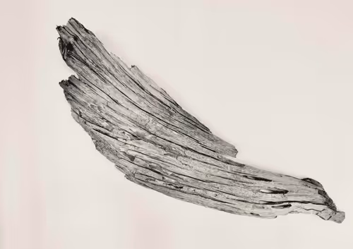 Ruffideas Collection