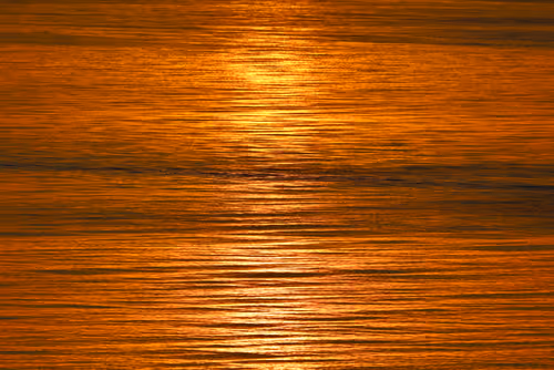 Item #61113597711829508019705348607354266595254896620371709928421355959401612050433 Media