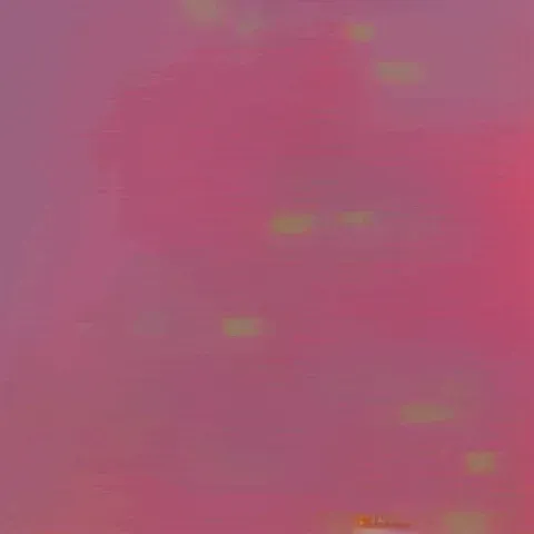 Mybrain
