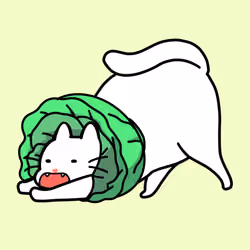 Yawn Cat-0099
