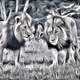 smokey Animal images