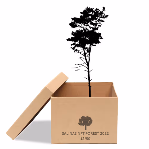 Item #63532776318757439562276927313719991273687356279339277108967620979422396416001 Media