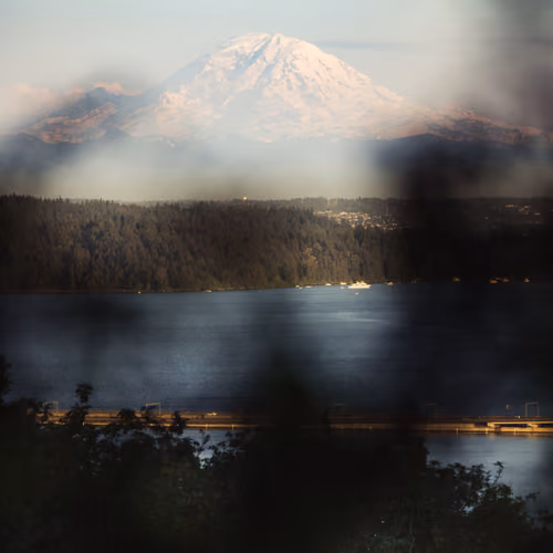 Hunting Mount Rainier 