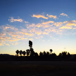 Palm Sky