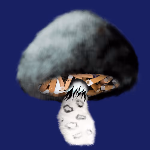 Item #46034849265832991985054005845495595569977159826723230396281256665177678413825 Media