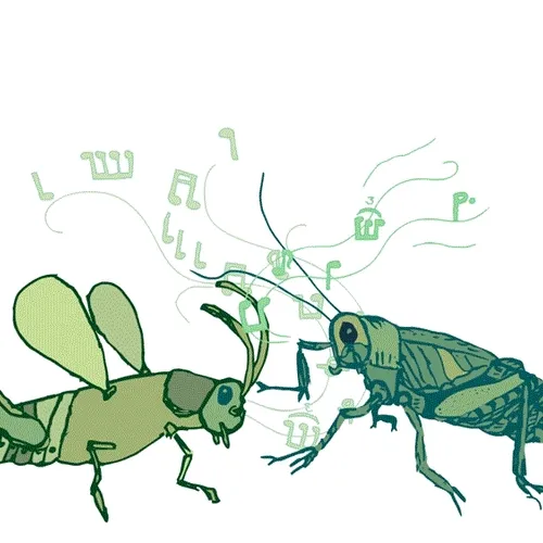 Interval-Music Collection