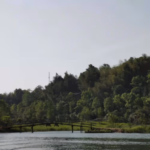 bridge & water