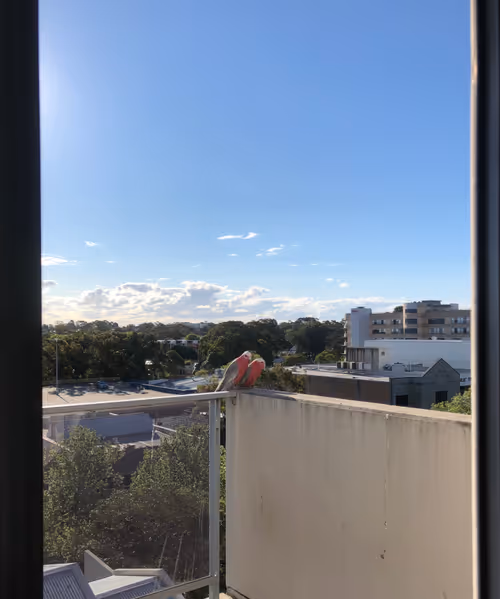 Item #76283406527728941611923785797347054752594701803065964356691974256739175366657 Media