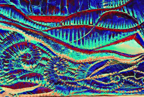 92656767228811384016667197167415690288812799860635804664150526769683113181208