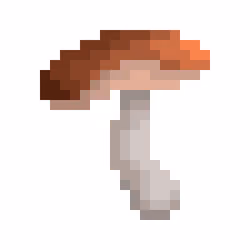 MUSHROOM