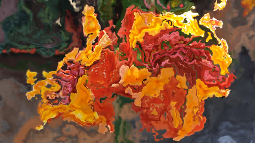 Item #42159712999449067907113964145691135009780602862476765281330278320855245127681 Media