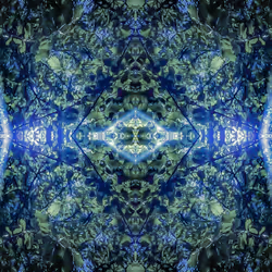 Matrix Fractal #3