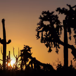 Sunset Near Picacho Peak