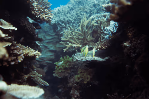 Item #99926930229538675438917090631619995362212113699001151744757174481523386089572 Media