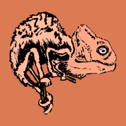 The Chameleon #3