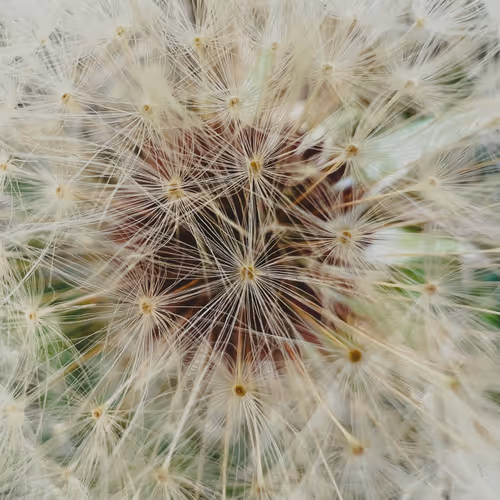 20690686598406327978537158336164426387947003883481915028812449973989499994115