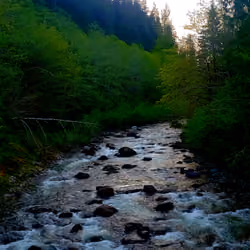 Calming streams #2