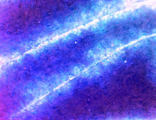 Item #71646257518770613568983710813551014237803002136866425209291834301171982401537 Media