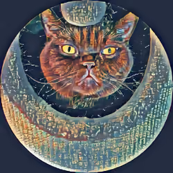 Mystic Cat Round 2