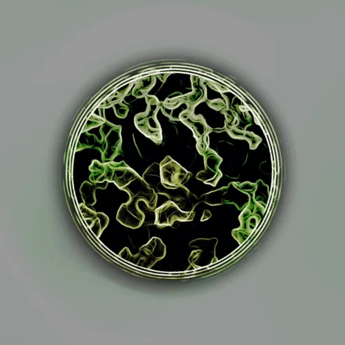 Item #99152019331641229788904140219333937428079268105691841862699864862282670407681 Media