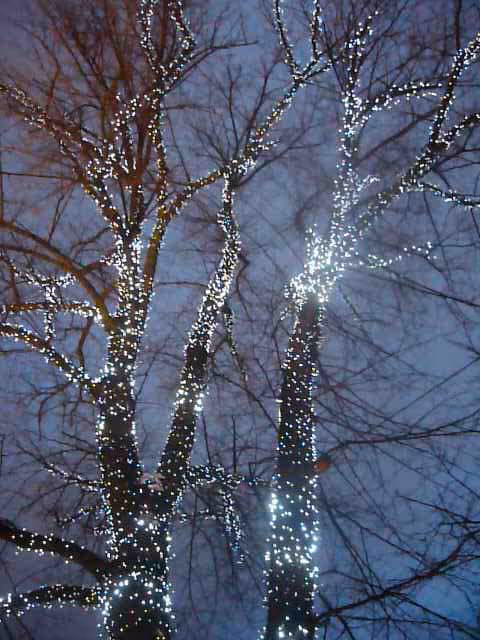 Item #15770137669290744651646145785393144685711771628448611015335675348490129506305 Media