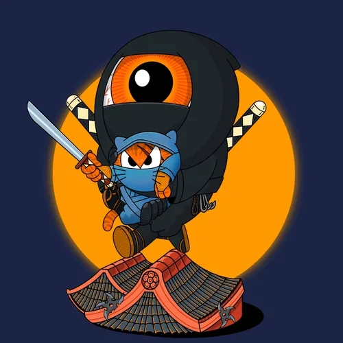 M1 026 Ninja Boy and Bad Cat