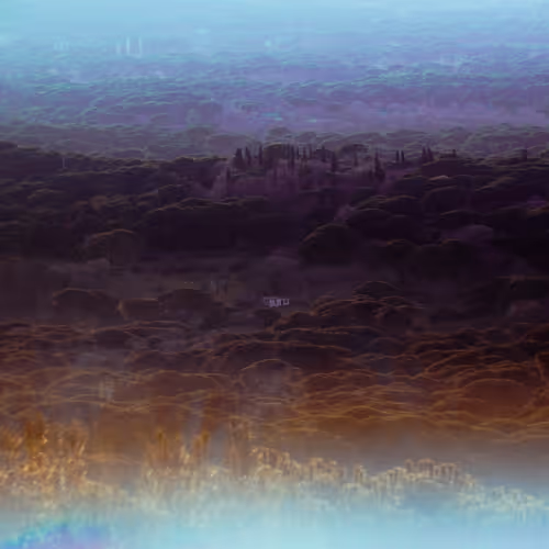 109162157552346088047496633038404394118504199992061596446112929582040431460353