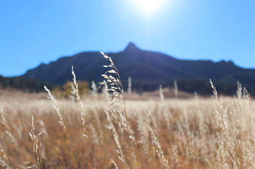 Item #42956466618878321387532578261577756492161920653755194423256676463724053135361 Media