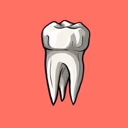 Upper Molar #1