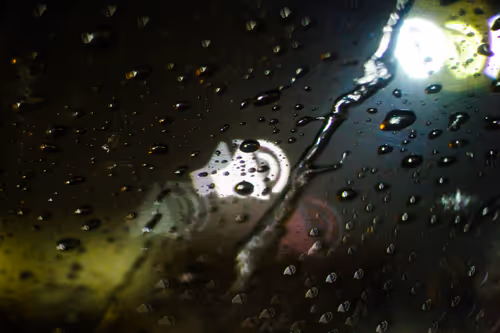 Item #30985419060957023672606833204645685316652492575224970316942919869992634679297 Media