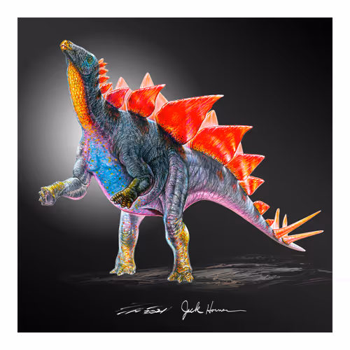 Item #22582927822880265950669941219355019494534003366966592492782895320436756709377 Media