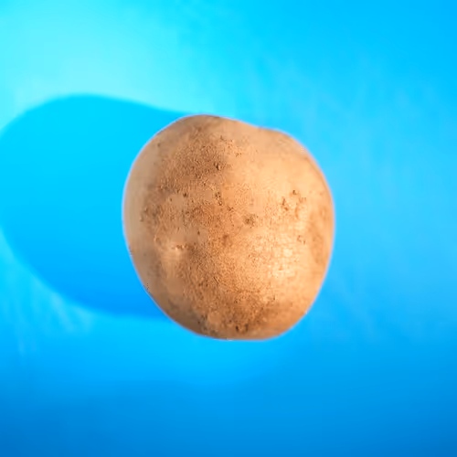 Item #106002847208740868609833758564864100377070191956822007780539651963867520565249 Media