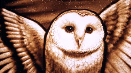 Item #64547877753568412469425259004769380681143227933510953498710243241482321395713 Media