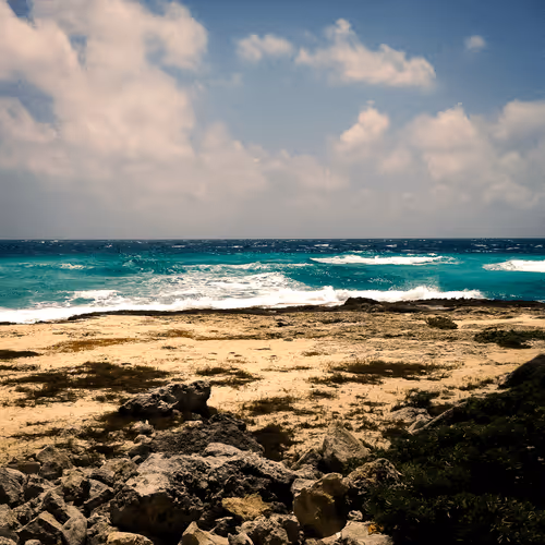 Item #21926675412478956437867617810974213951134164027418523158913384687512475140097 Media