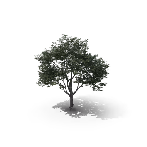 Item #36557224033069565400419298715916611442711242076290286007895566289827449012225 Media