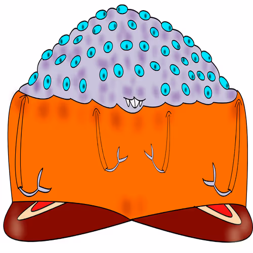 Item #110623071603190156101669278524568434051344740681678505071713276024305708171265 Media