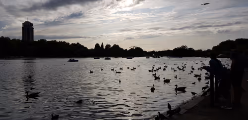 Item #113915635363529418532820506639039462677143782385450590851576059216420069703681 Media