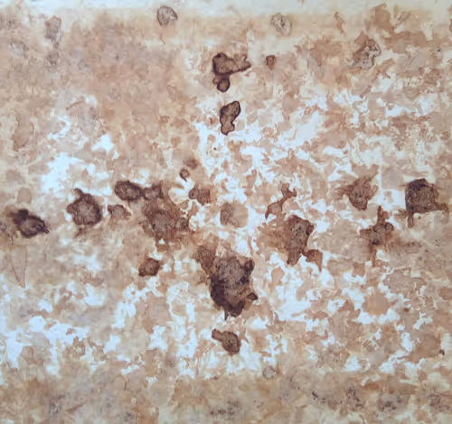 Item #82241719945809107279422811465730865194031527793115559623196375893914400325637 Media