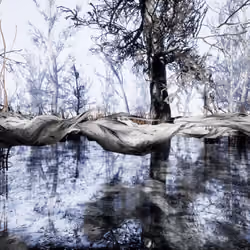 deconstruction of a winter landscape