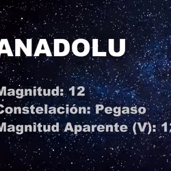 Star ANADOLU