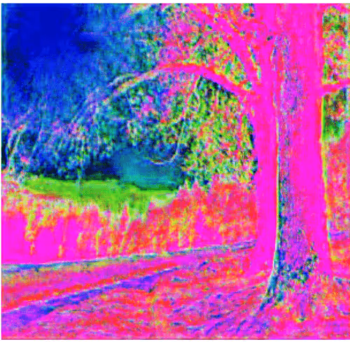 Item #68021718446599202869014630906929087708325619493852001294243303134245249089537 Media