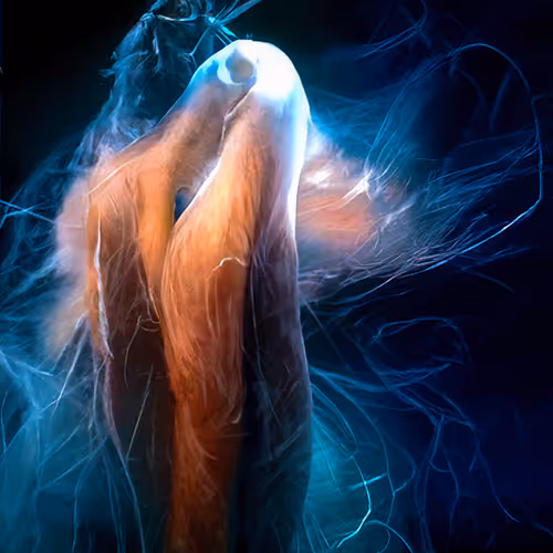 Item #59310739734387602657547047445342927128515448661356347111685384371855270346753 Media