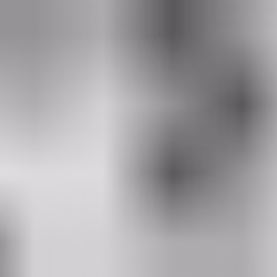 LYAM_89_10X4_194209147148172891482192202191721481951732091478822021922019421922721921989148220220219