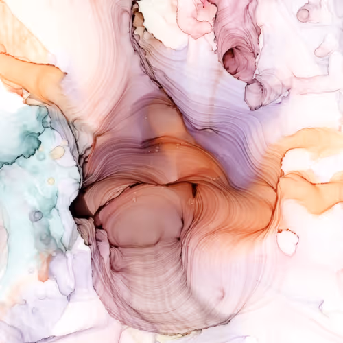 Item #29520418552145809798583464197808626937236403153754494126203225258289140858968 Media