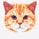 86515702388564116946842246269008357505544892692160175811460688252806321143809