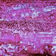 113825769663938829490130269982088633073590406373283501992526438438179742679041